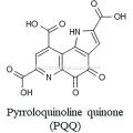 Heißverkaufte Pyrrolochinolin Quinon PQQ CAS: 72909-34-3